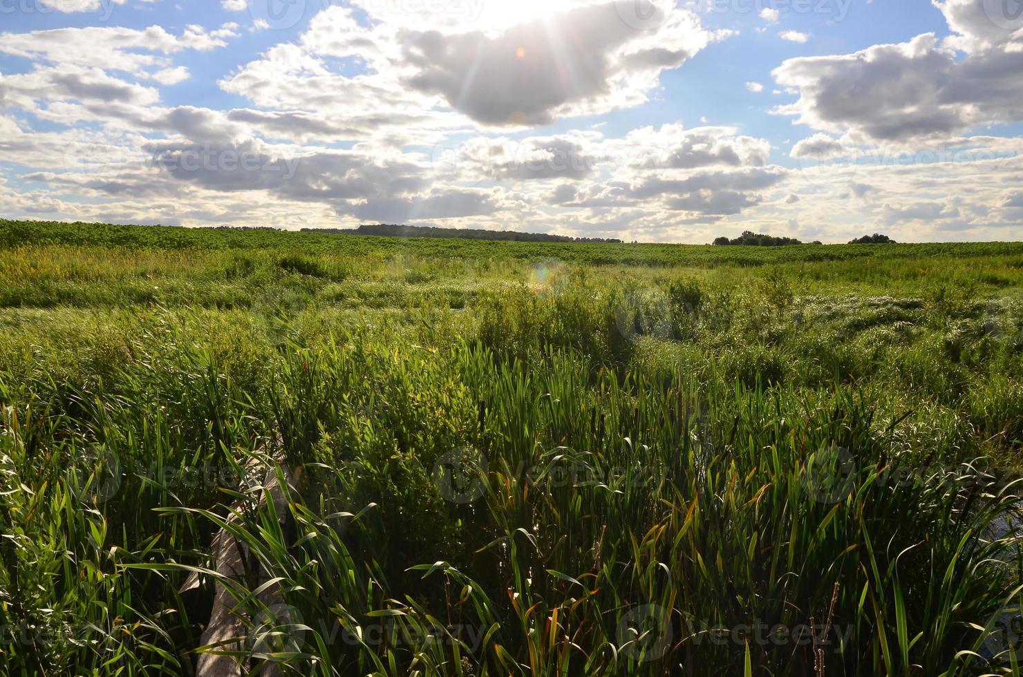 paisaje rural con un campo verde bajo un cielo azul nublado foto