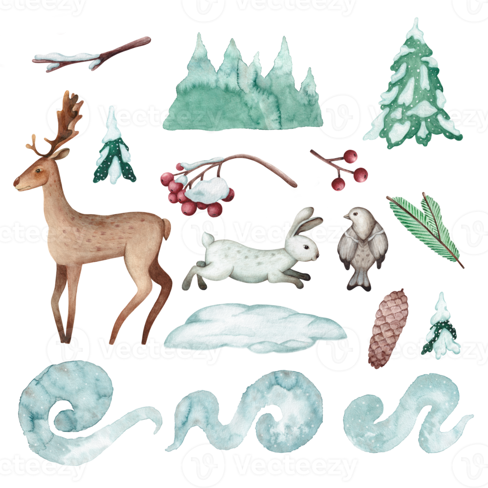 Set of watercolor illustrations of forest animals. Deer, rabbit, bird, fir and rowan branches. Winter set for scrapbooking, cards or stickers png