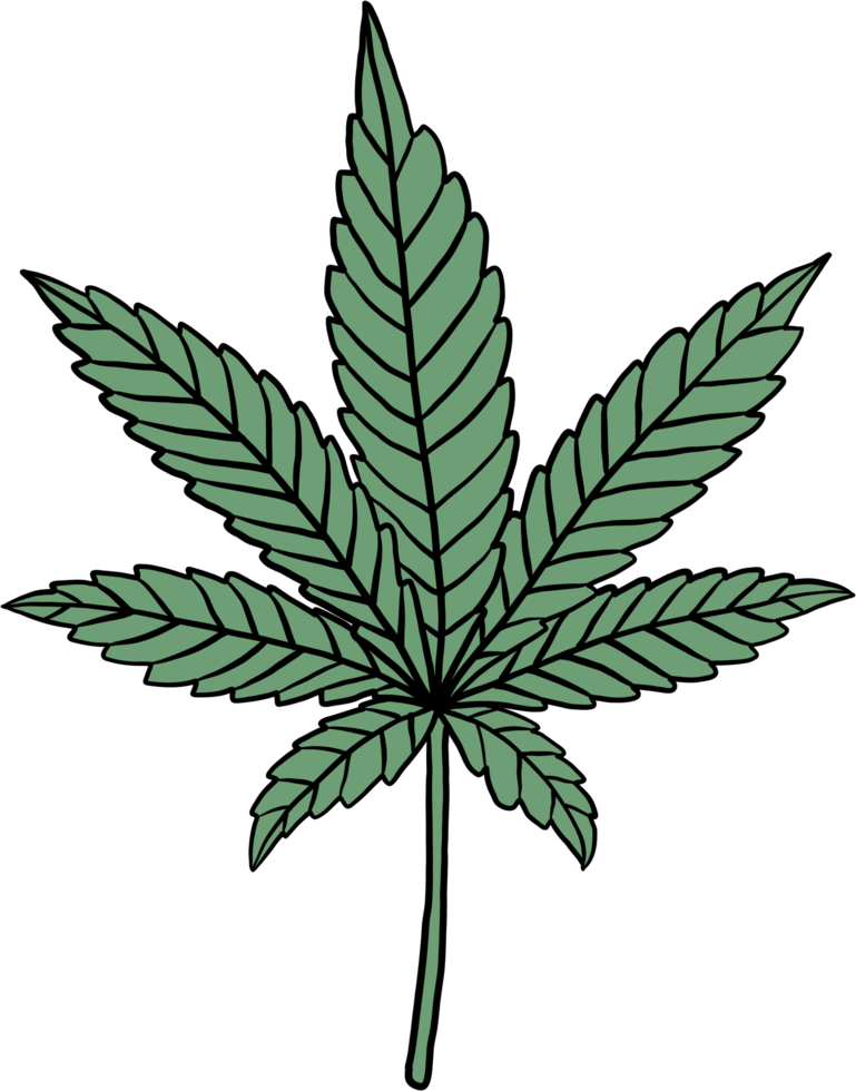 simplicity cannabis leaf freehand drawing flat design. png