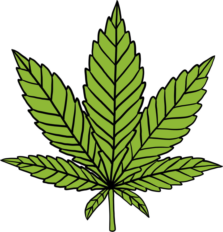 eenvoud cannabisblad uit de vrije hand tekenen plat ontwerp. png