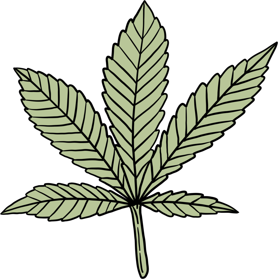 simplicidad hoja de cannabis dibujo a mano alzada diseño plano. png