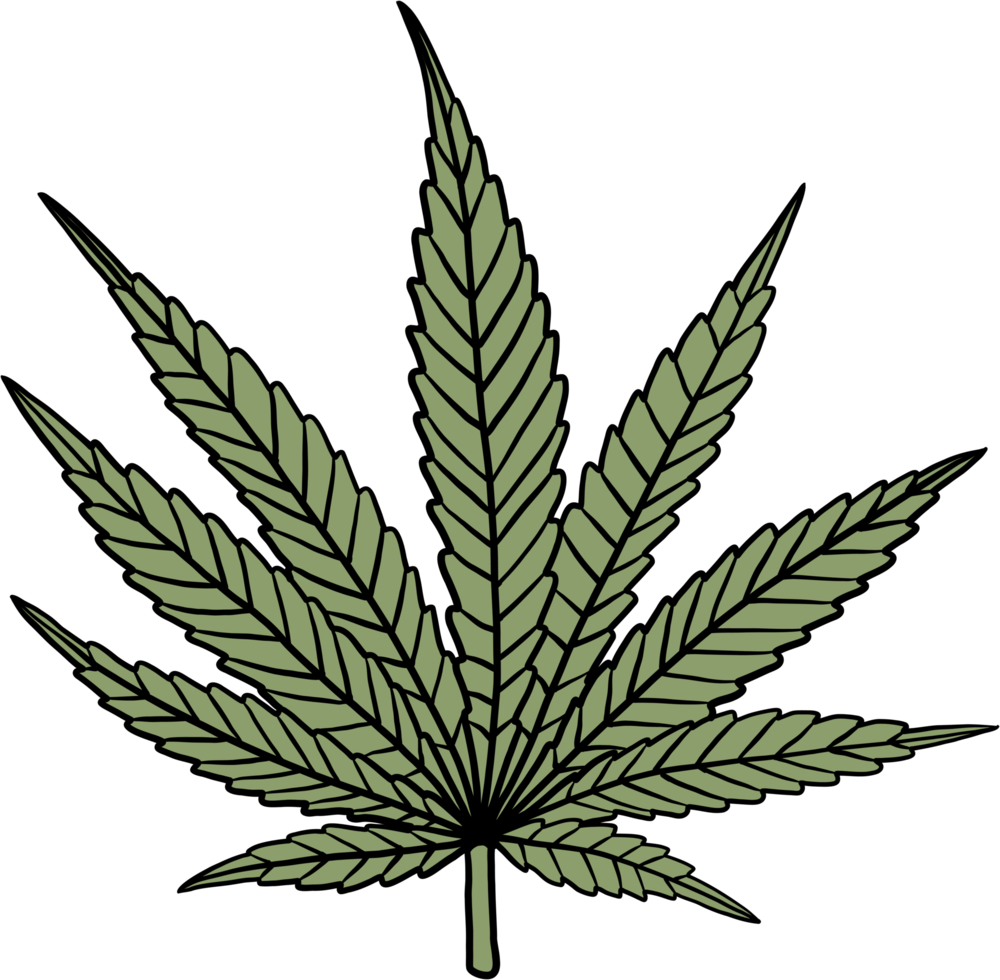 simplicidade folha de cannabis desenho à mão livre design plano. png