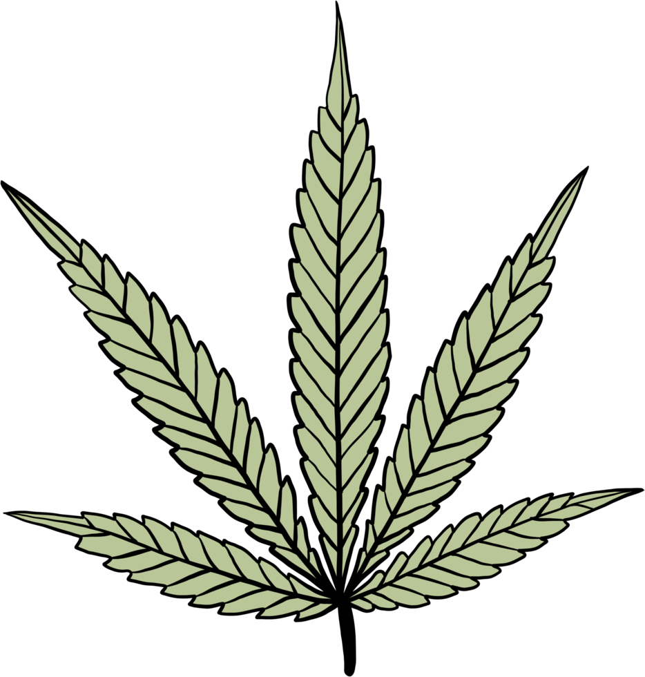 simplicity cannabis leaf freehand drawing flat design. png