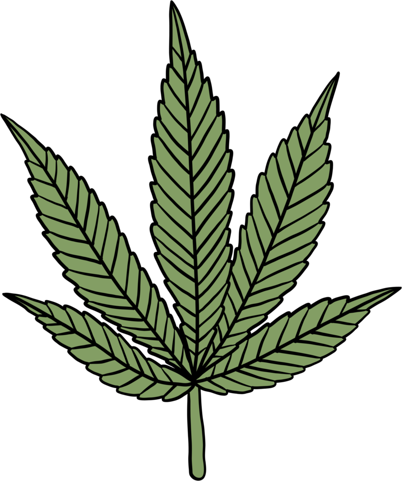 simplicity cannabis leaf freehand drawing flat design. png