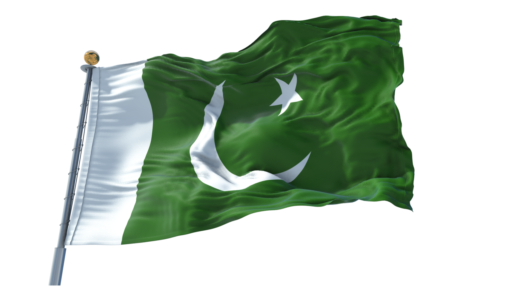 Pakistan Flag PNG