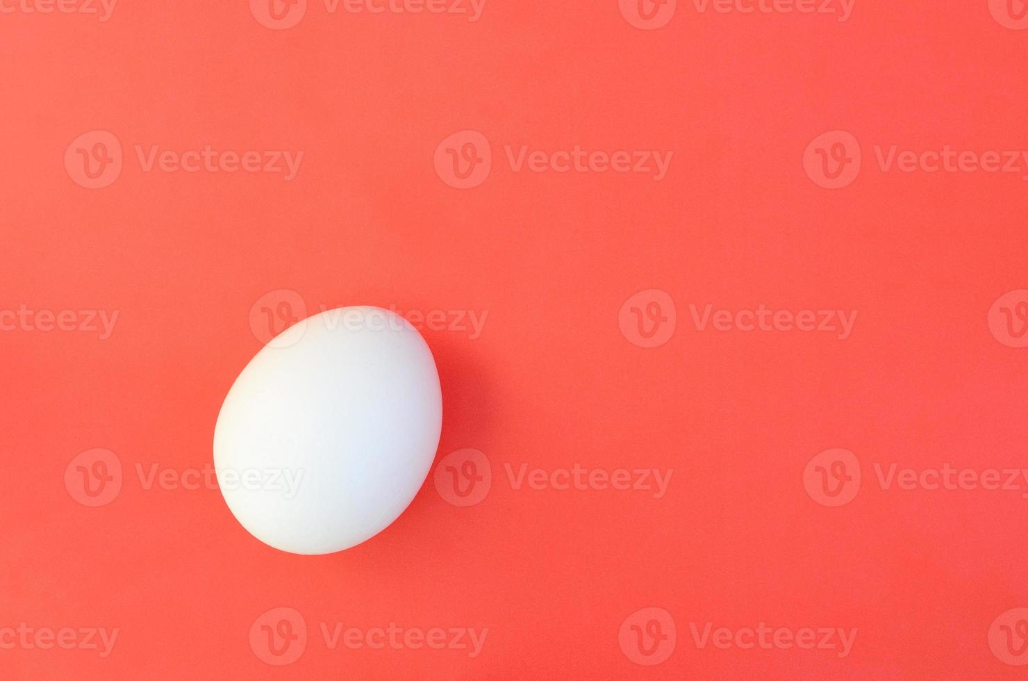 One white egg on a bright red background photo