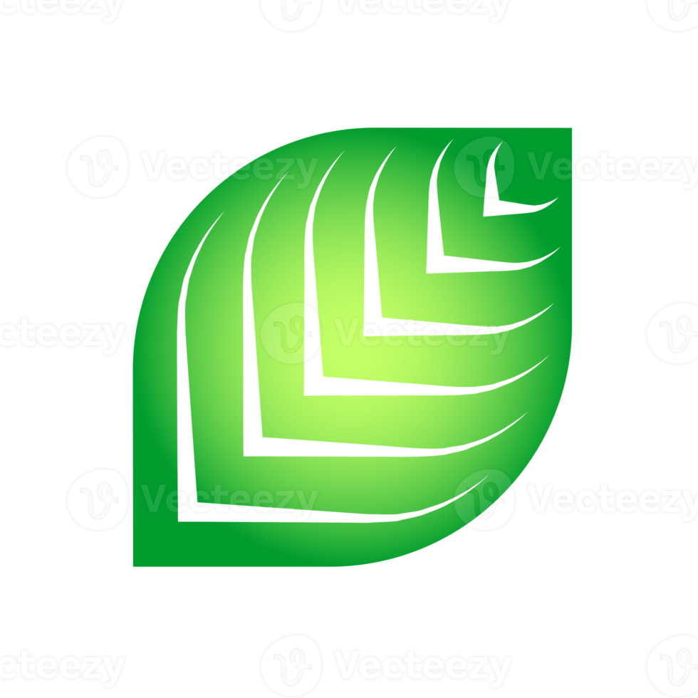 Botanical icon with vibrant colors and gradient. PNG with transparent background.
