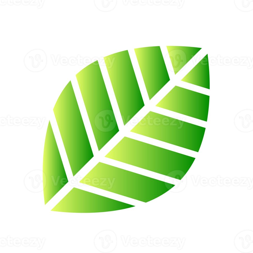 Botanical icon with vibrant colors and gradient. PNG with transparent background.