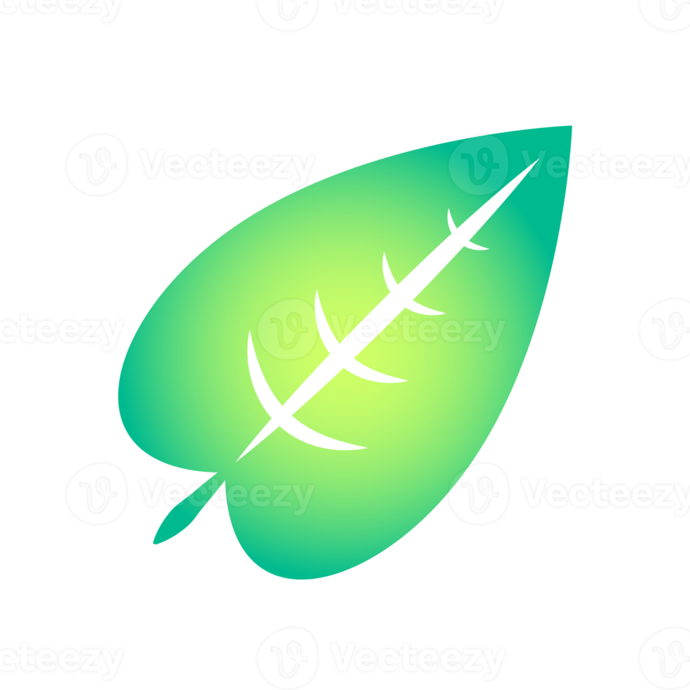 Botanical icon with vibrant colors and gradient. PNG with transparent background.