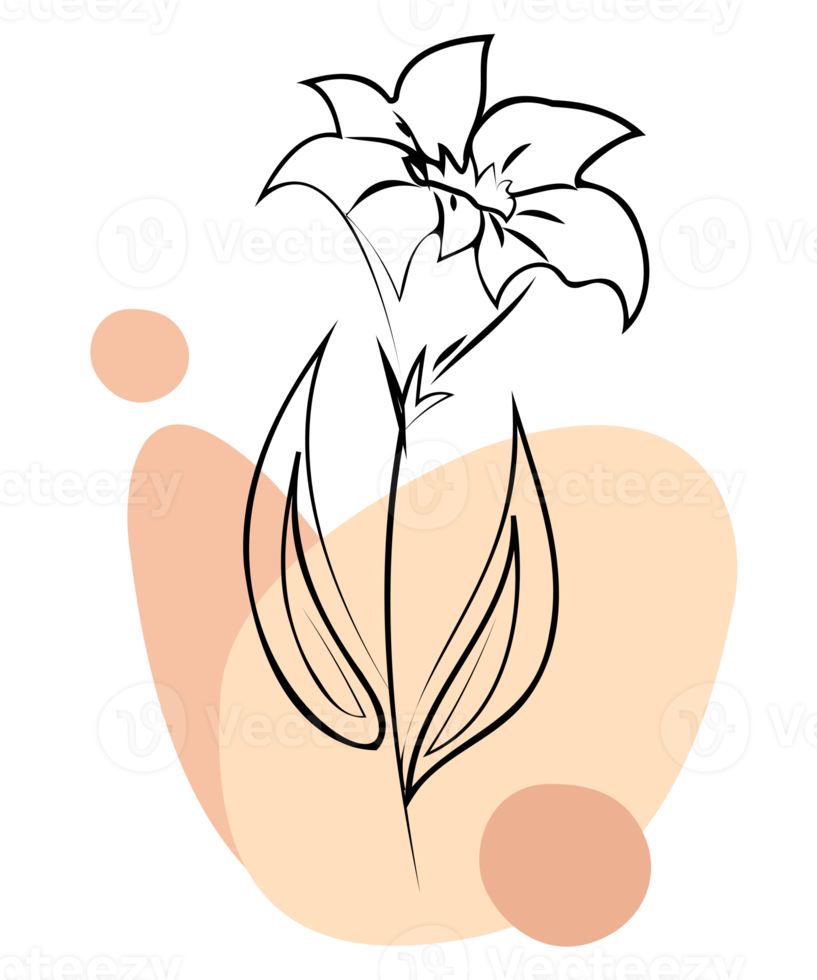 décoration florale. png avec fond transparent. pour l'impression sur t-shirt, mug, oreiller et autres motifs.