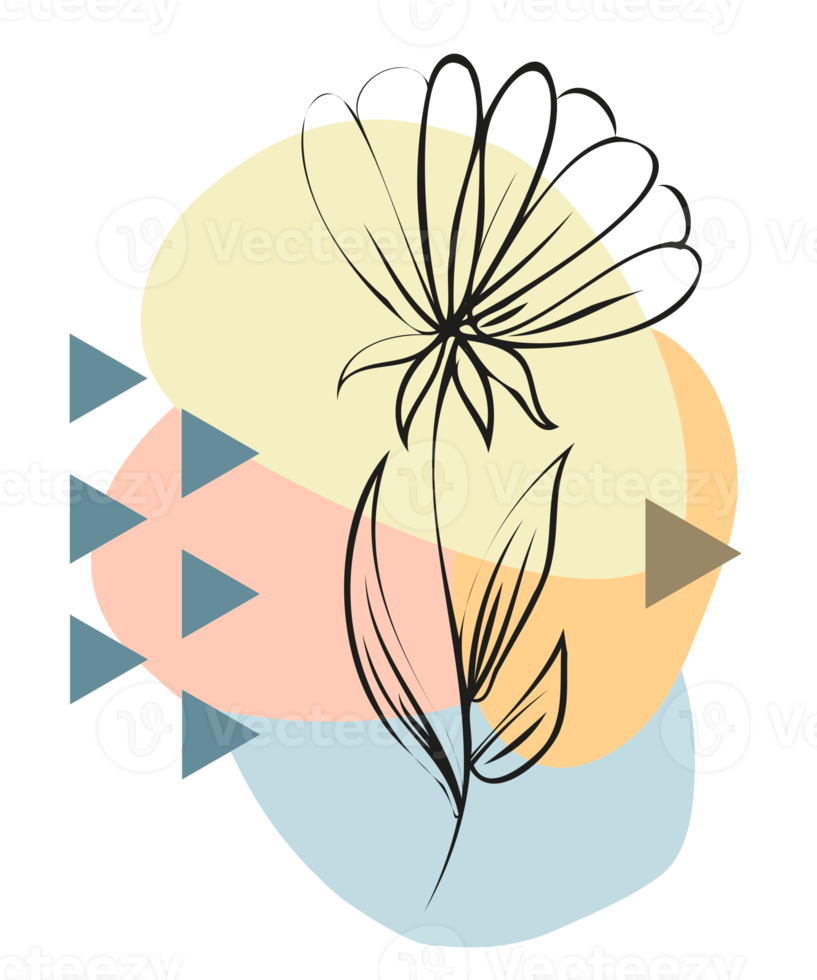 Flower decoration. PNG with transparent background. For printing on t shirt, mug, pillow and other designs.