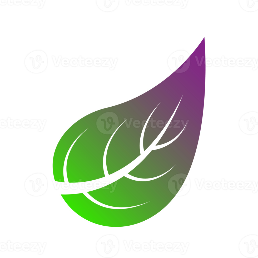 Botanische Ikone mit lebendigen Farben und Farbverlauf. png mit transparentem Hintergrund.