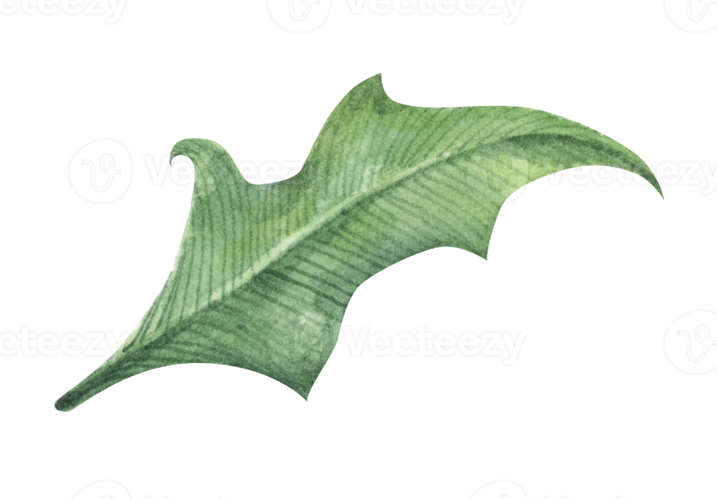 Watercolor green leaf element. png