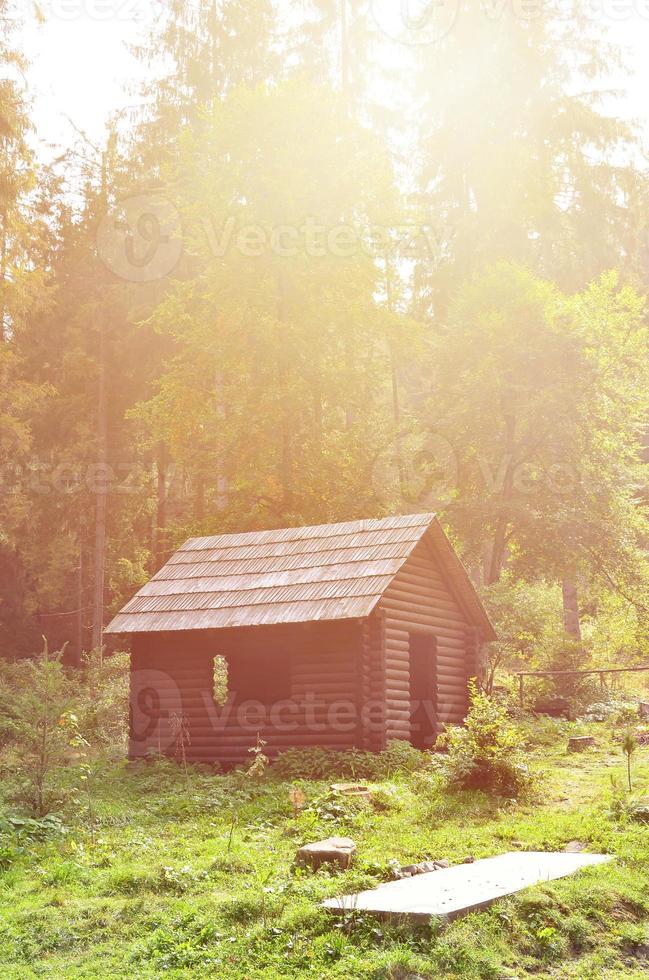 Small natural house, which is built of wood. The building is located in the forest photo