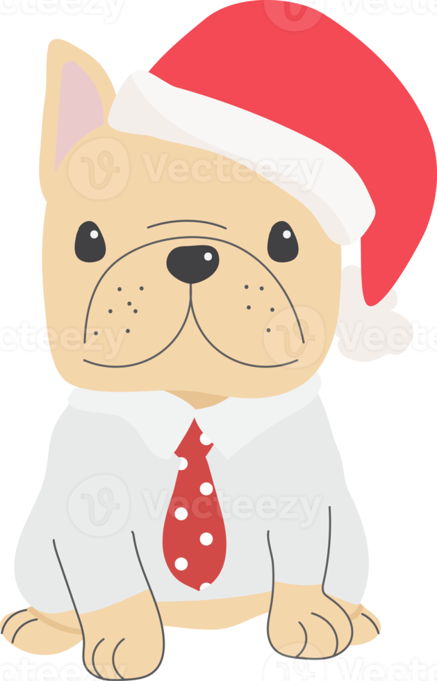 cute french bulldog puppy in christmas costume 12302465 PNG