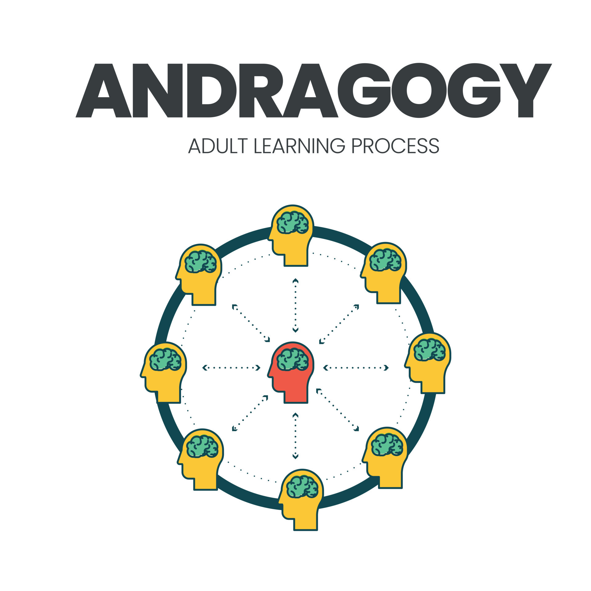 Andragogy