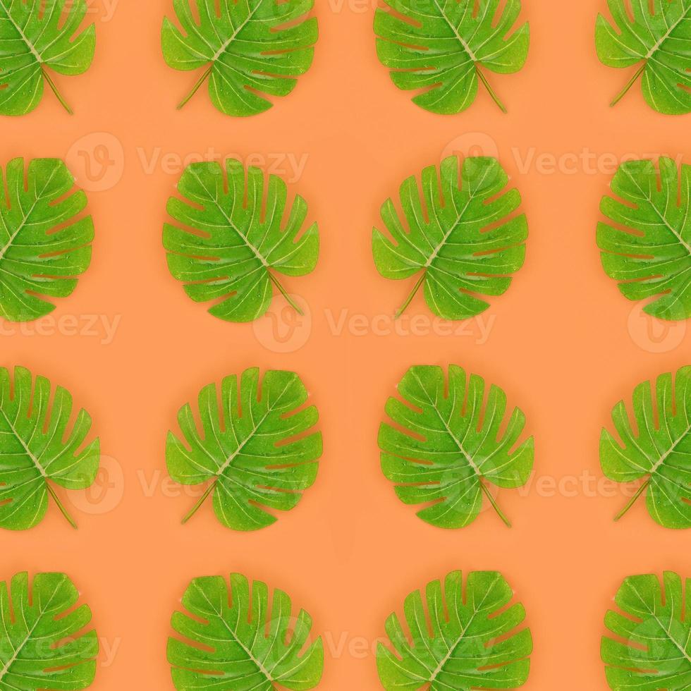 Tropical palm monstera leaves lies on a pastel colored paper. Nature summer concept pattern. Flat lay composition. Top view photo