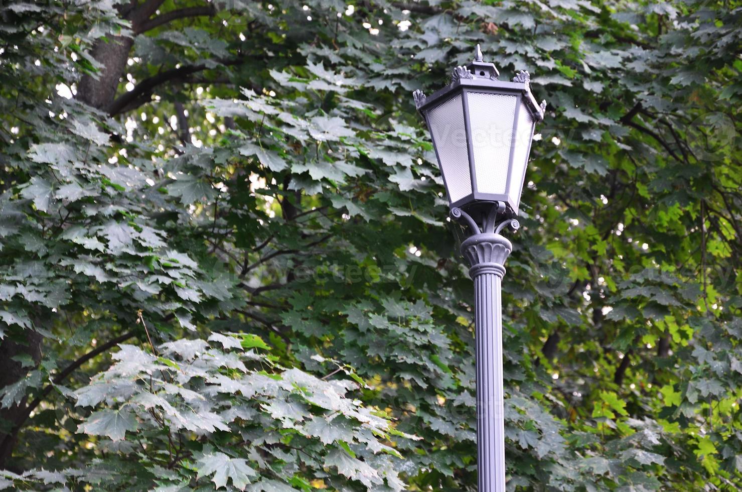 Old metal street lamp in black on a background of green leaves of a tree photo