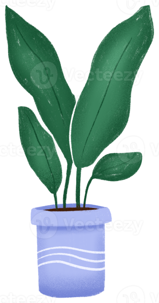 hoja de una planta en maceta png