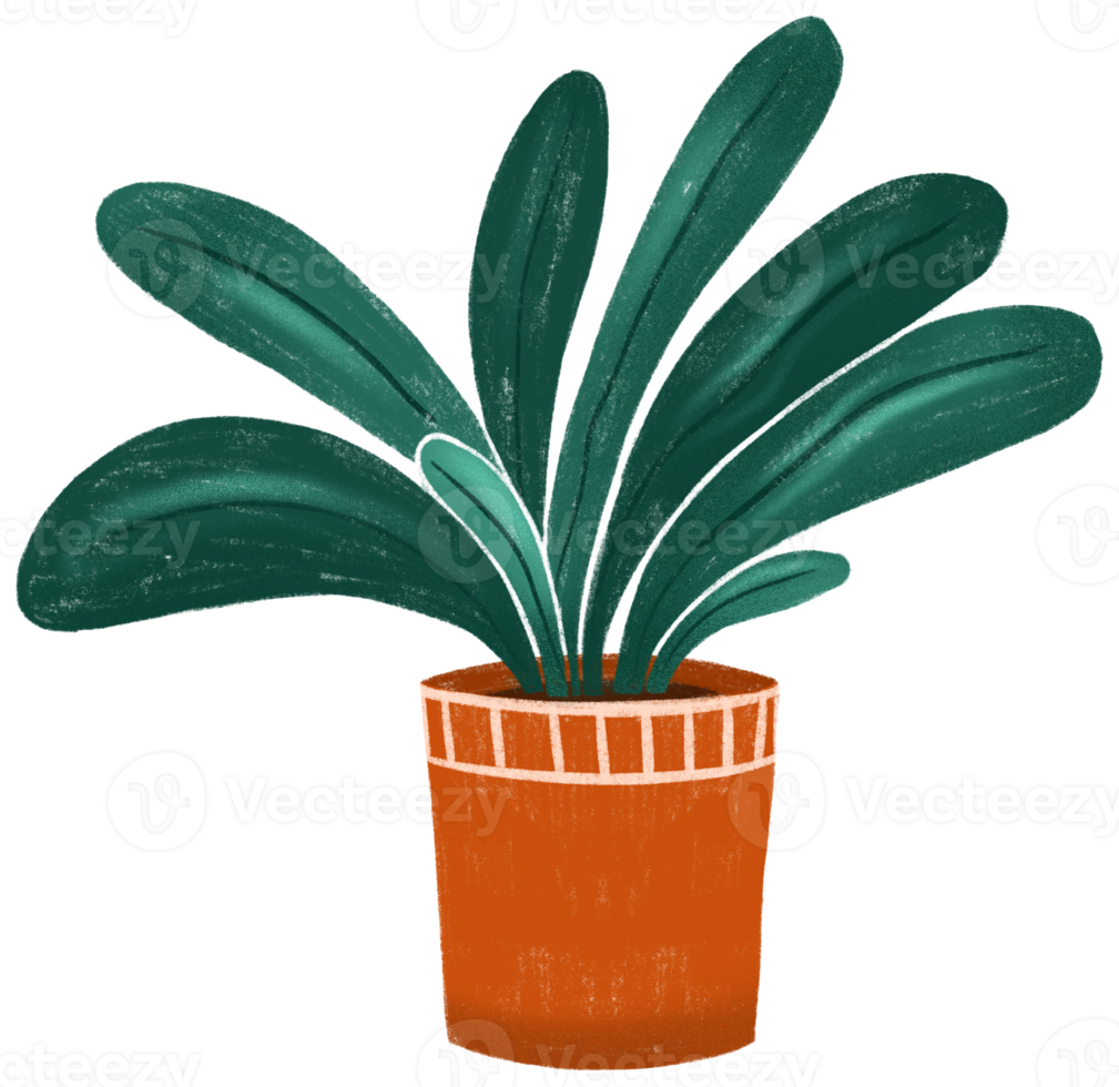 House plant in flowerpot png