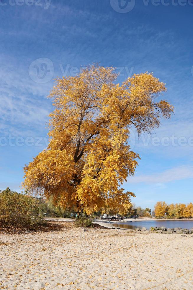 Beautiful autumn landscape with lake and multicoloral trees. Picturesque place with lake and tall trees photo
