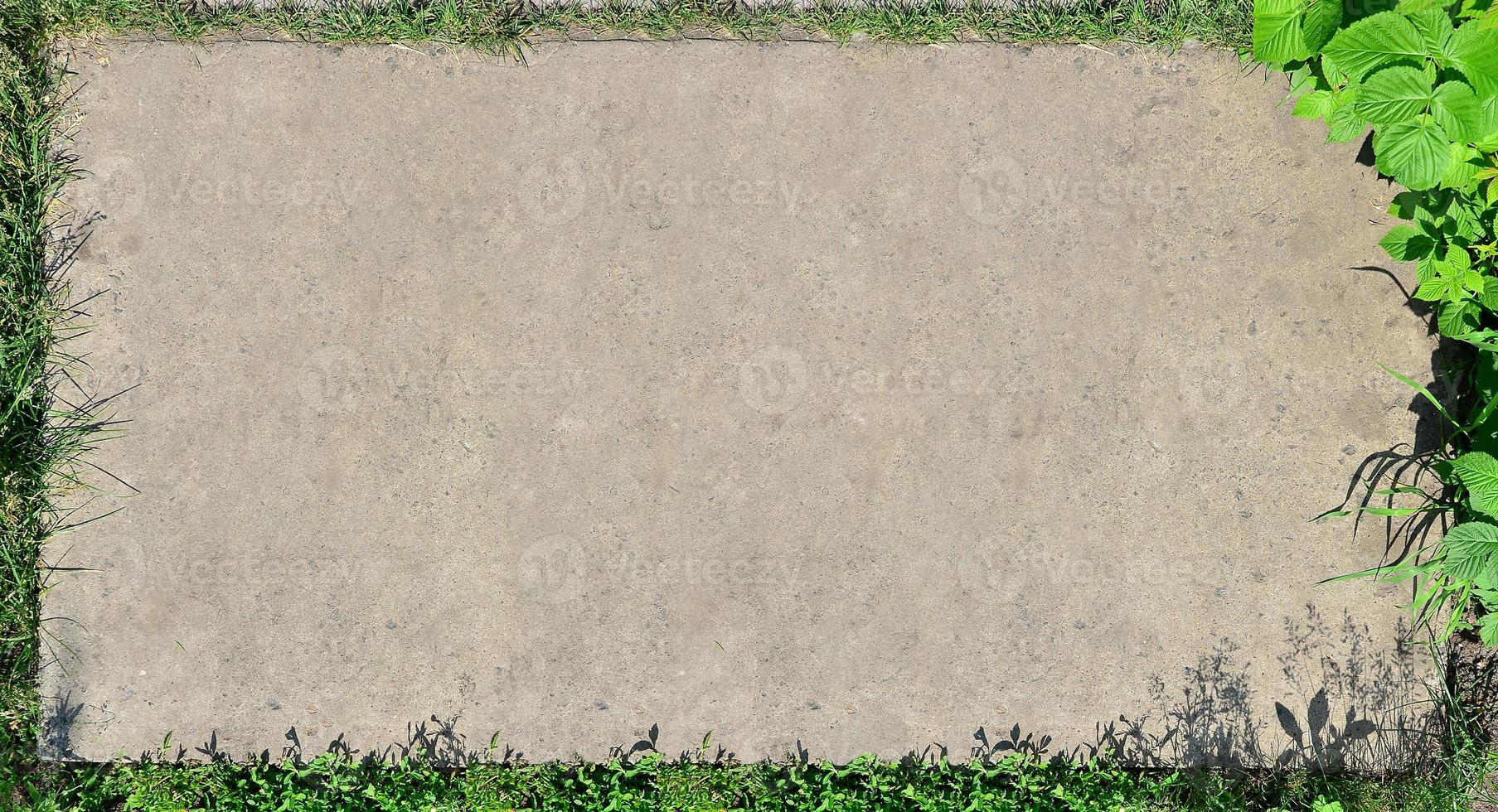 The texture of a flat concrete surface surrounded by grass and a raspberry bush. A blank for a postcard. Landscaped vegetative frame of a concrete background space photo
