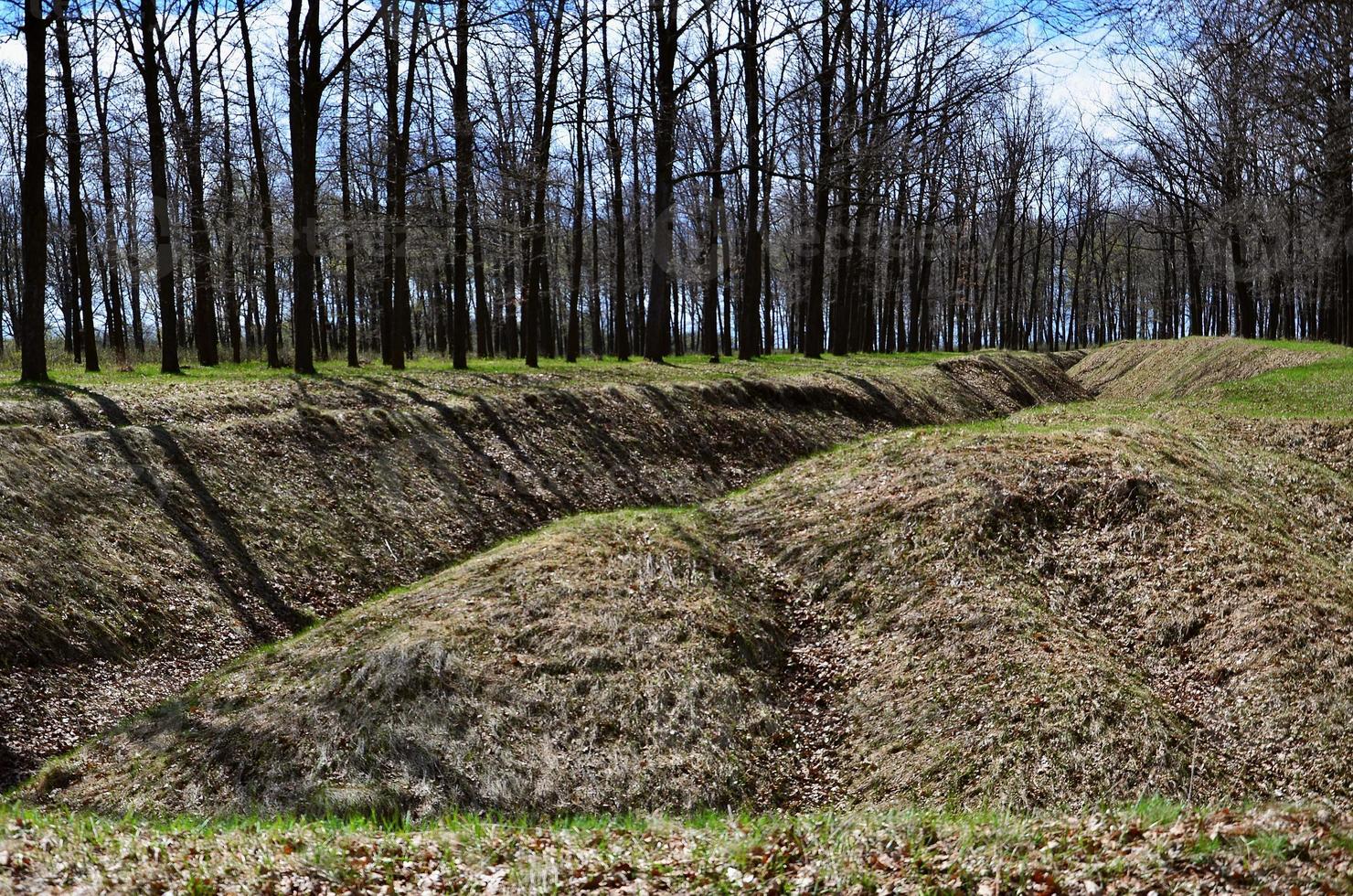 Spring landscape with a deep ravine filled with fallen leaves surrounded by a lot of trees on the edge of the forest next to the village photo