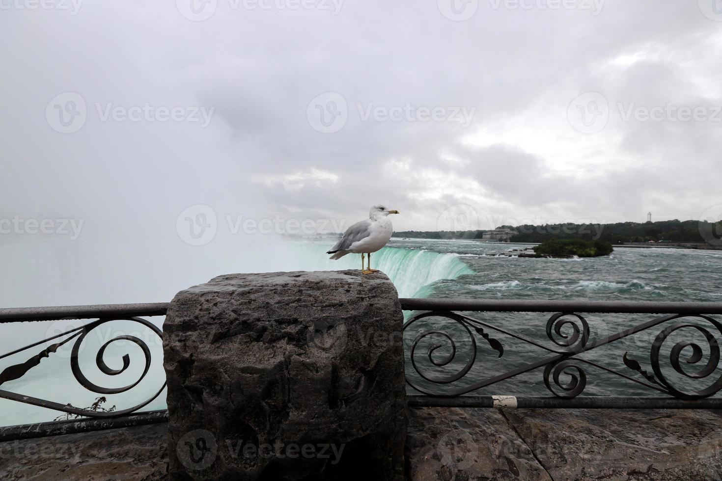 Canadian Falls on the Niagara River on an autumn rainy day. photo