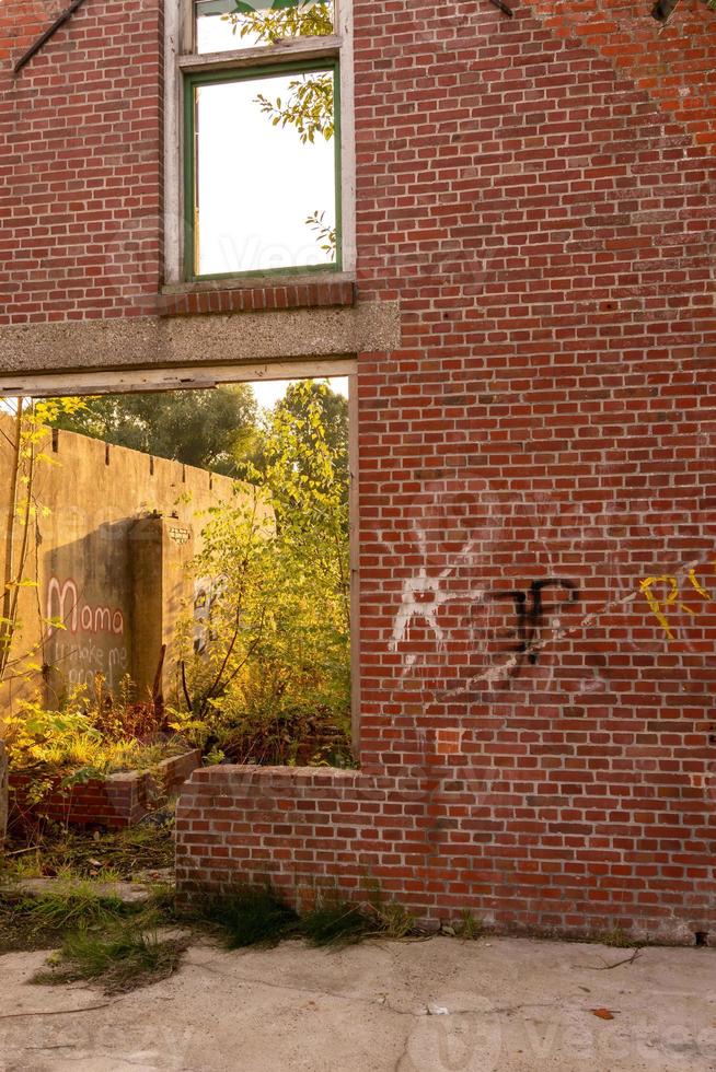 old wall with windows in the sun photo