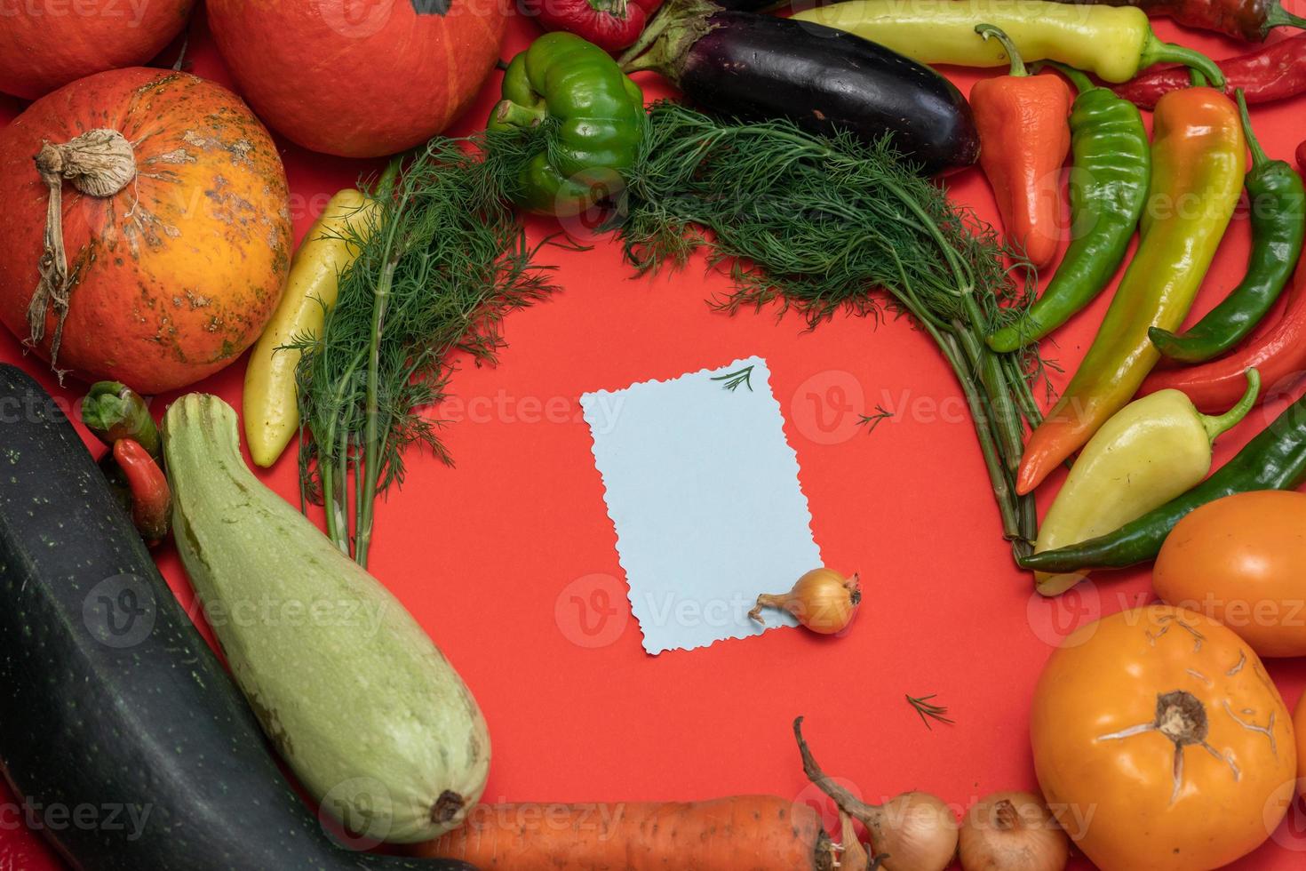 Vegetables are laid out around a sheet of paper and a pencil. Empty space for text. Vegetables, empty blank for recipe  on a red background. photo