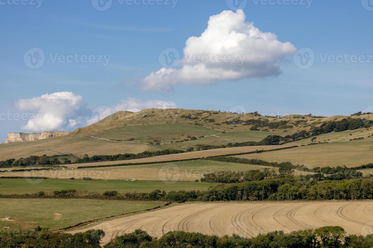 vista del paisaje en la bahía de kimmeridge en la isla de purbeck en dorset foto