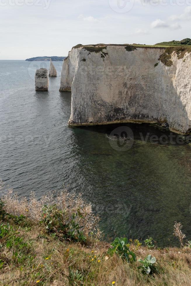 vista de old harry rocks en handfast point, en la isla de purbeck en dorset foto