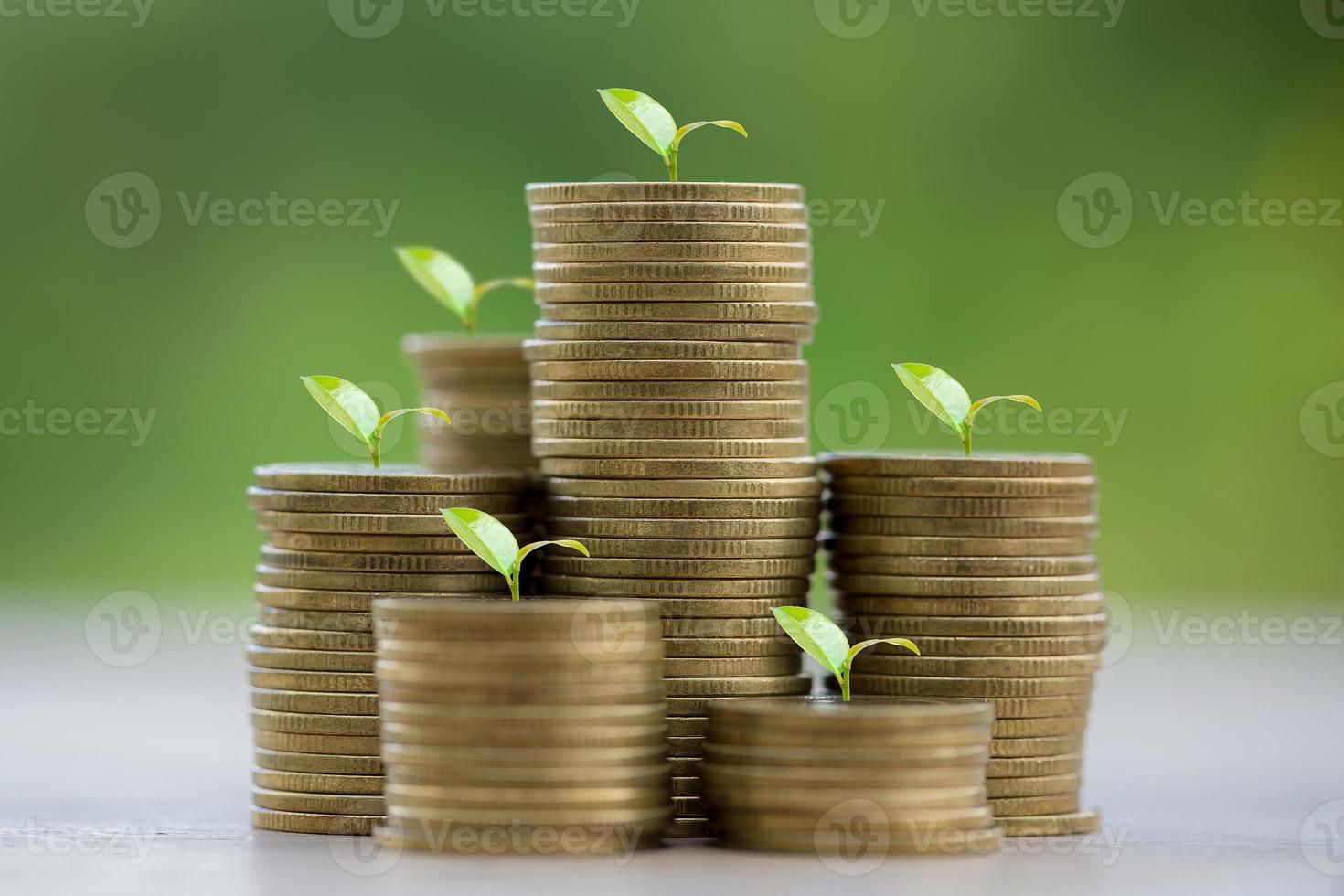 Money coin stack growing graph for saving concept. business finance and saving money investment, plant growing up on coin. Balance savings and investment. save retirement for interest idea photo