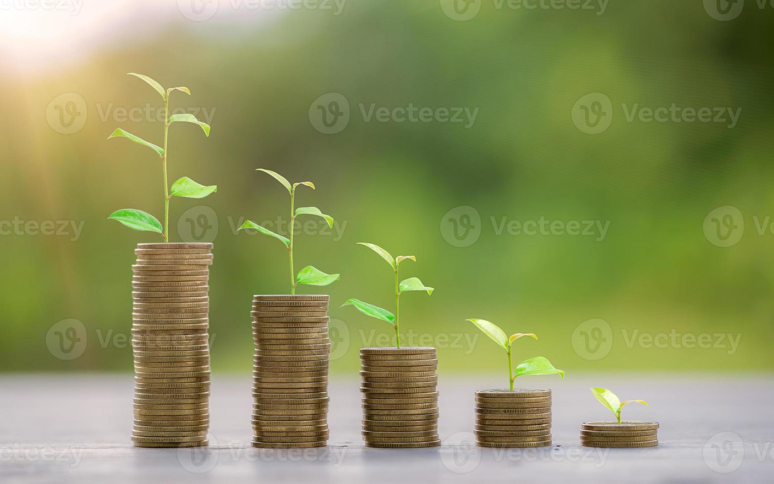 Money coin stack growing graph for saving concept. business finance and saving money investment, plant growing up on coin. Balance savings and investment. save retirement for interest idea photo