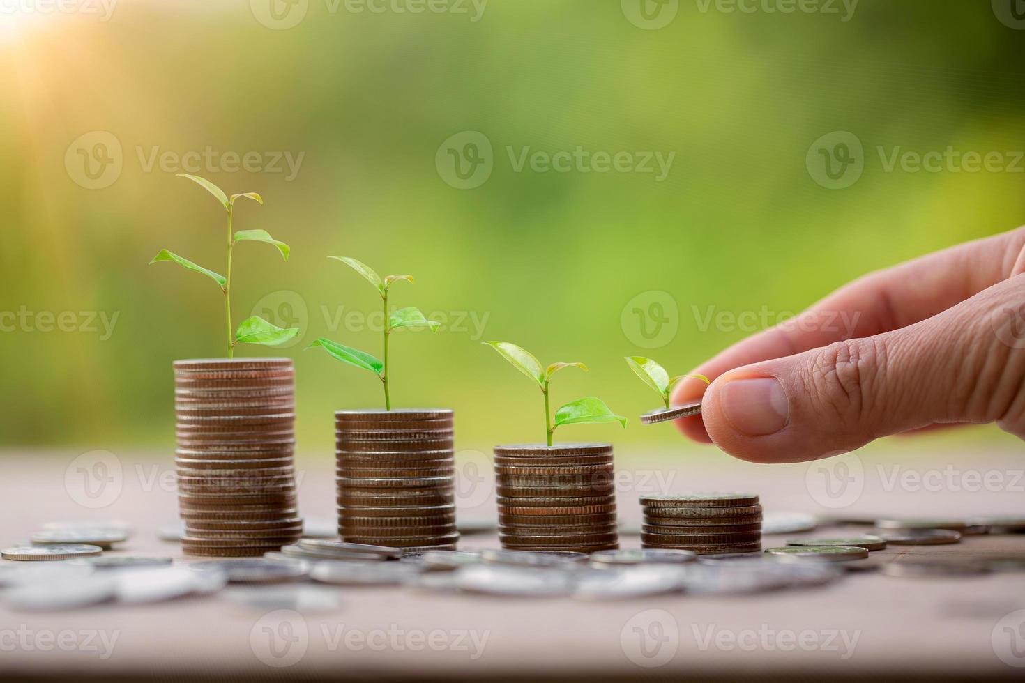 Hand putting money coin. Money coin stack growing graph with piggy bank saving concept. business finance and saving money investment, plant growing up on coin. Balance savings and investment. photo