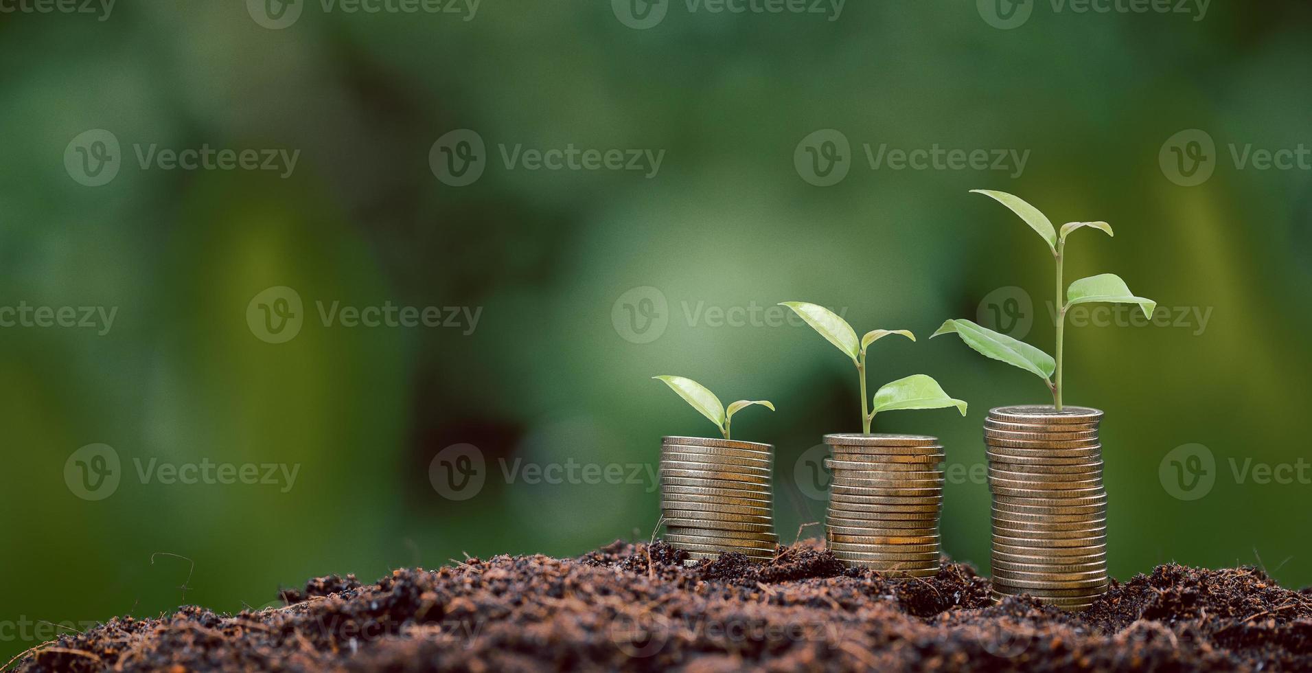 pila de monedas de dinero con plantas de plántulas que crecen en el fondo del entorno de la naturaleza verde. banco de interés, idea de crecimiento de inversión empresarial. crecer préstamo, ahorro ganar concepto económico, financiero y contable foto