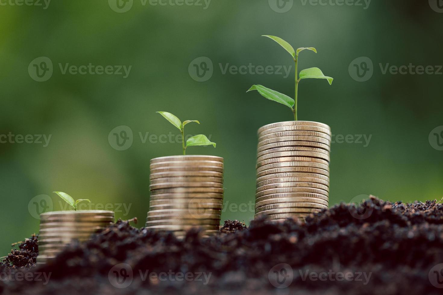 pila de monedas de dinero con plantas de plántulas que crecen en el fondo del entorno de la naturaleza verde. banco de interés, idea de crecimiento de inversión empresarial. crecer préstamo, ahorro ganar concepto económico, financiero y contable foto