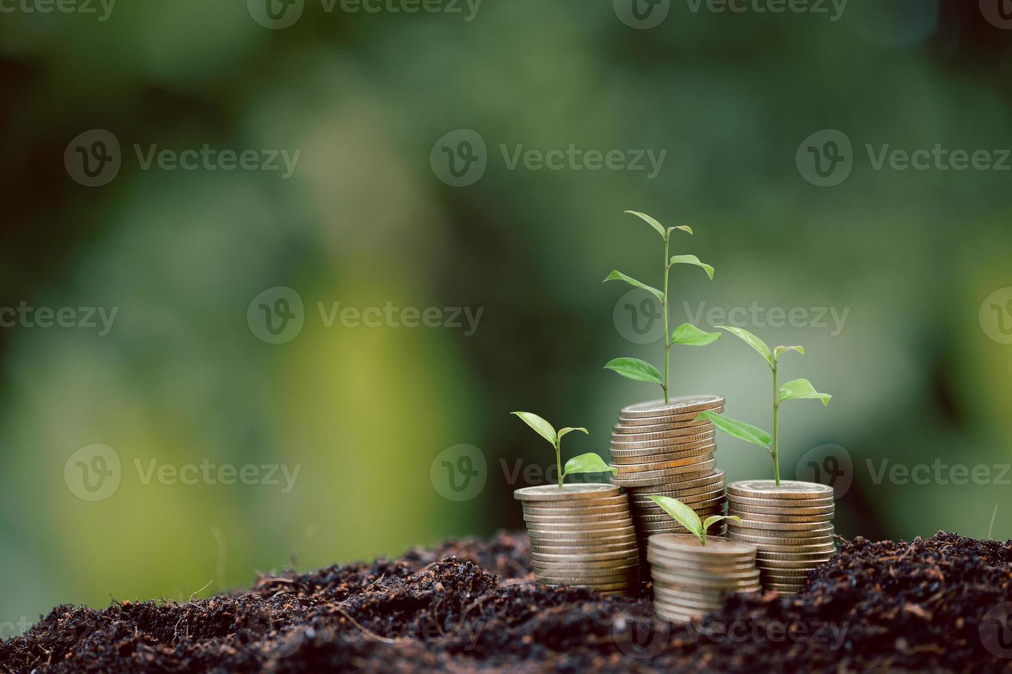 Money coin stack with seedling plant growing on green nature environment background. interest bank, business investment growth idea. grow loan, saving earning economic, finance and accounting concept photo