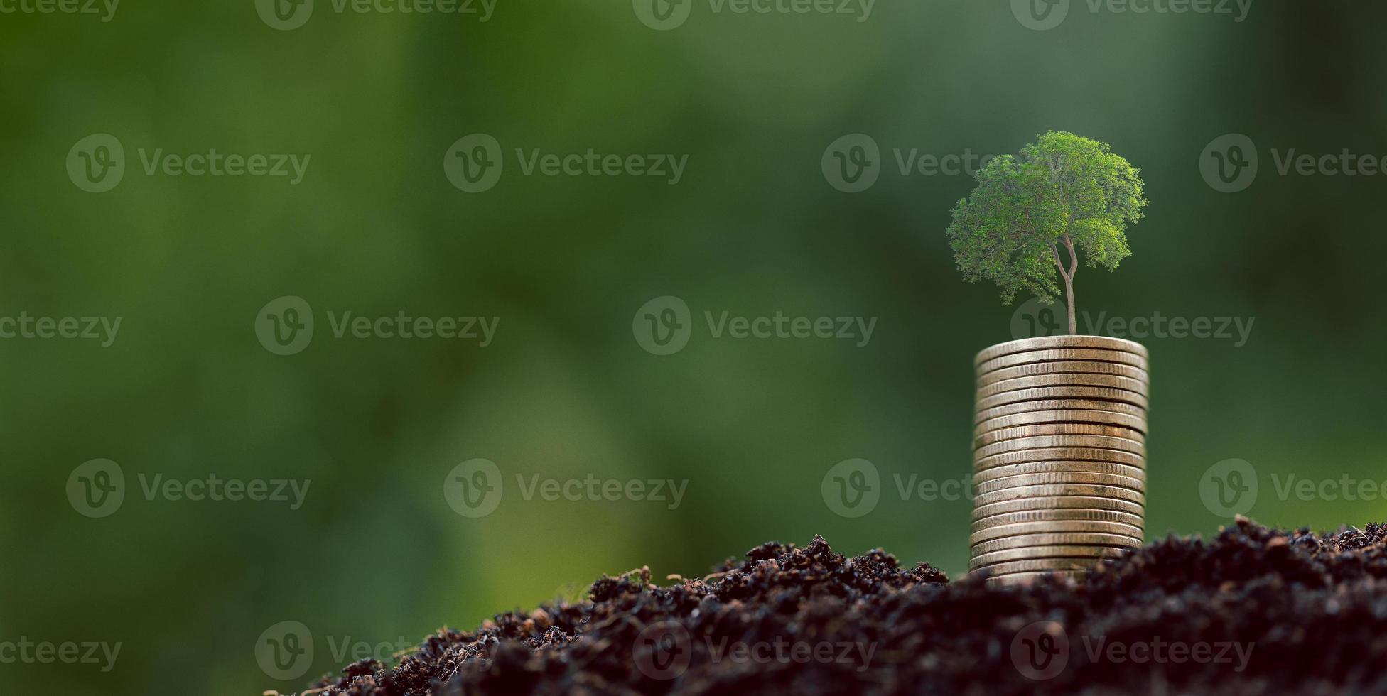 Money coin stack with seedling plant growing on green nature environment background. interest bank, business investment growth idea. grow loan, saving earning economic, finance and accounting concept photo