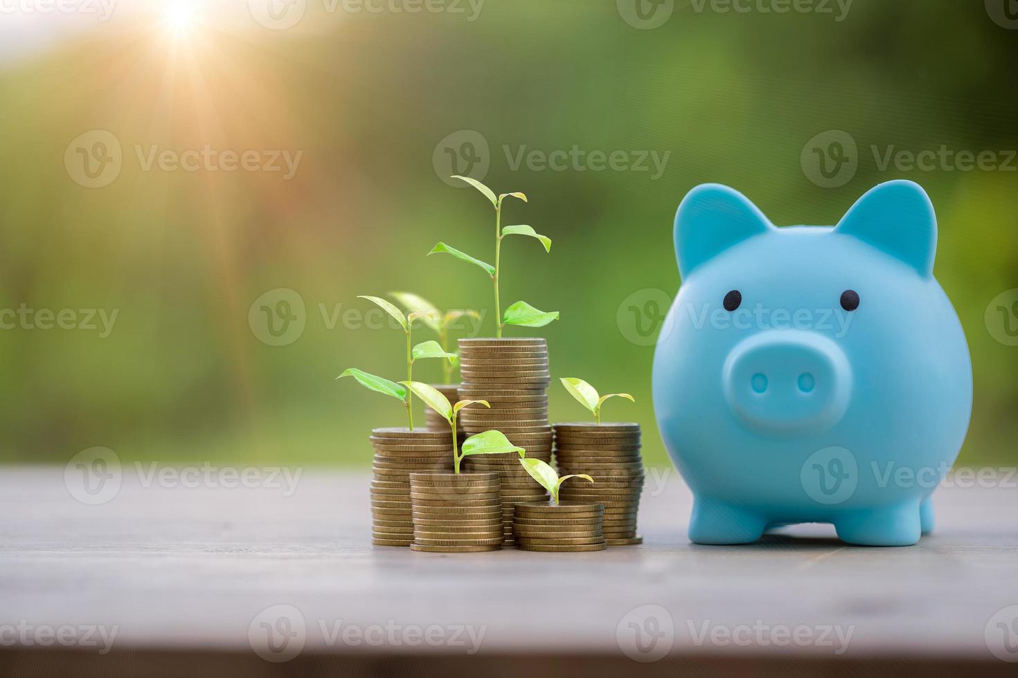 Money coin stack growing graph with piggy bank saving concept. business finance and saving money investment, plant growing up on coin. Balance savings and investment. save retirement for interest idea photo