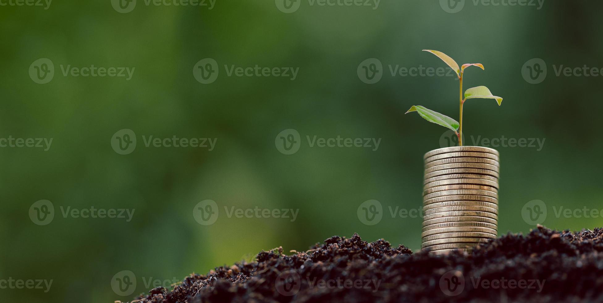 pila de monedas de dinero con plantas de plántulas que crecen en el fondo del entorno de la naturaleza verde. banco de interés, idea de crecimiento de inversión empresarial. crecer préstamo, ahorro ganar concepto económico, financiero y contable foto