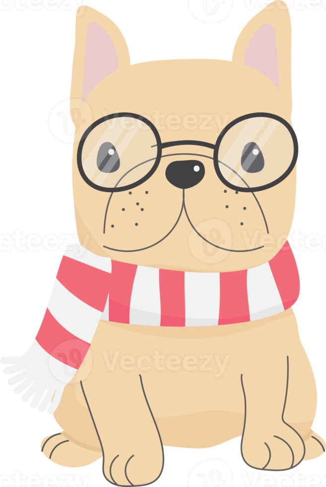 carino francese bulldog cucciolo nel inverno maglione costume moda png
