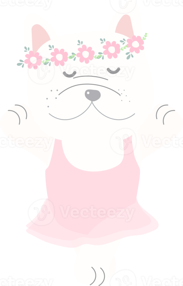 mignon ballerine bouledogue français danse en robe rose png