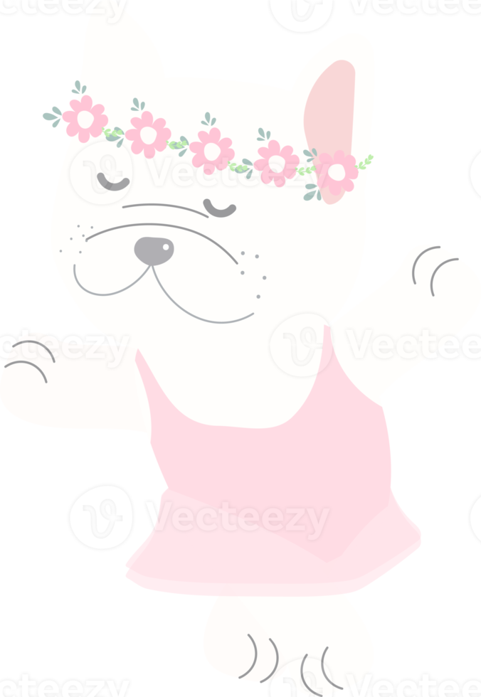 mignon ballerine bouledogue français danse en robe rose png