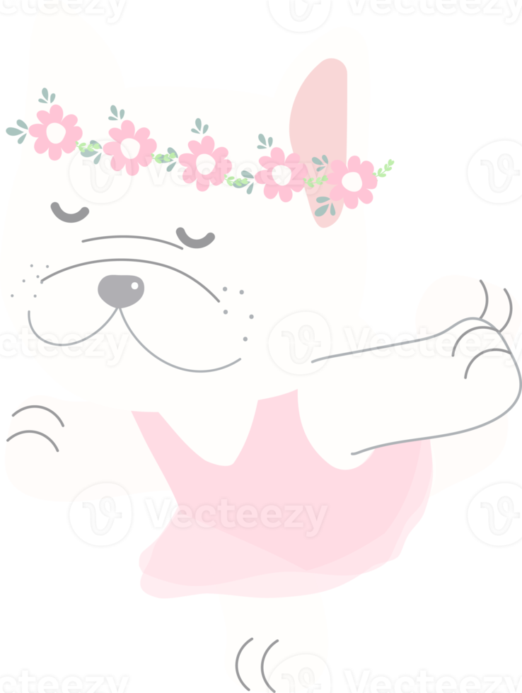 cute french bulldog ballerina dance in pink dress png