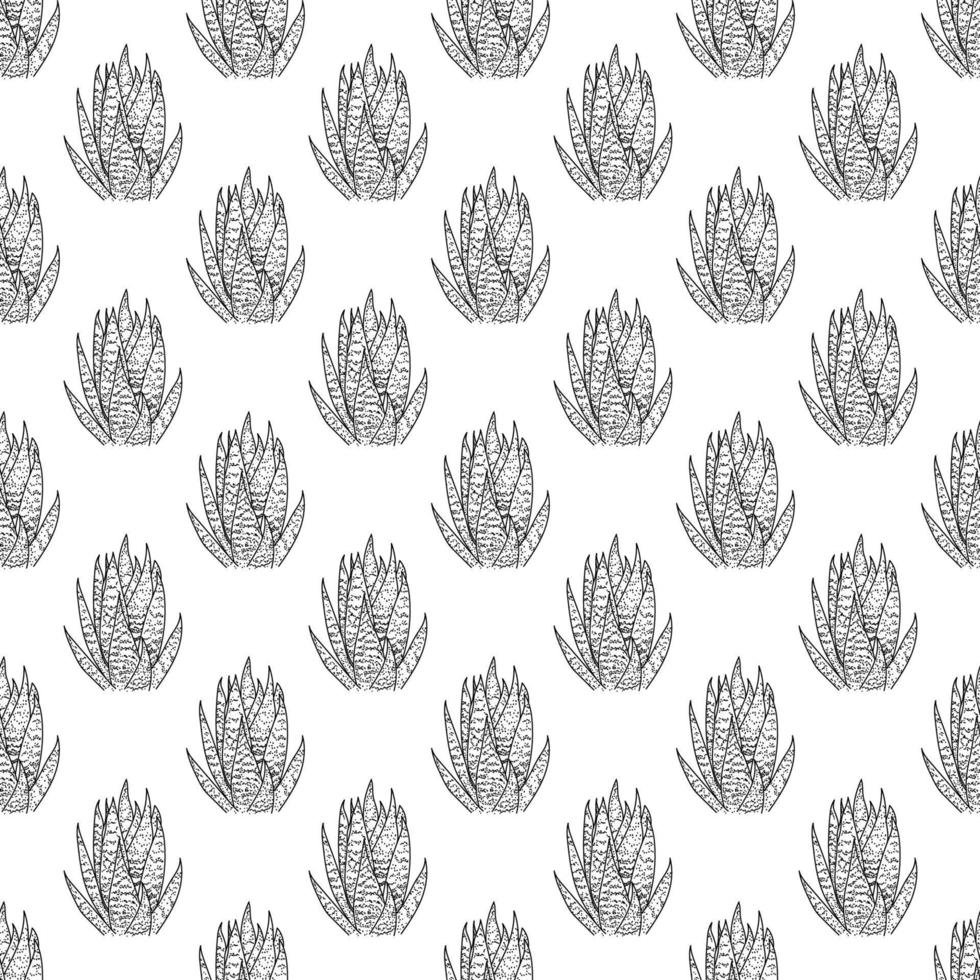 Line art succulents Seamless pattern of hand drawn doodle cacti. Hand drawn cute cactuses for cards,posters, fabric vector