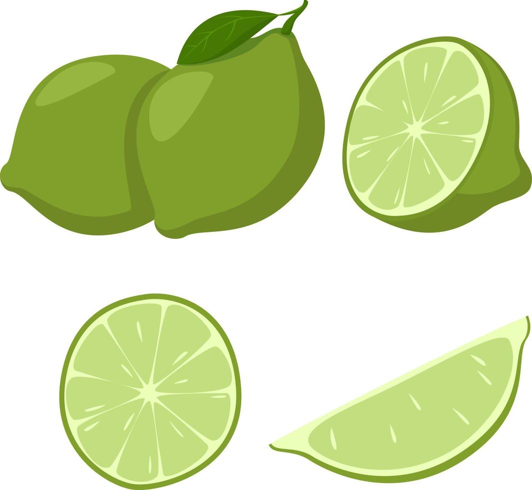 frutas frescas de lima, lima, fruta entera, mitad y rodajas, ilustración vectorial, colección de ilustraciones aisladas en fondo blanco vector