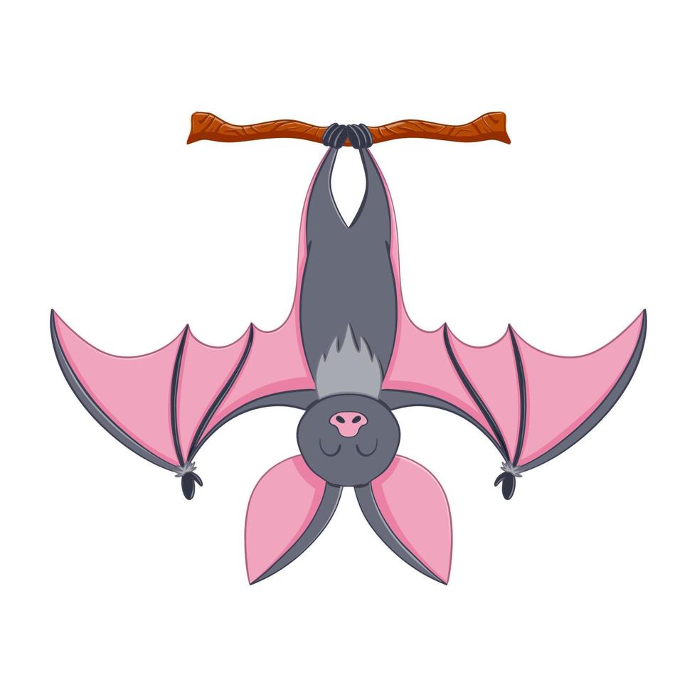 Cute cartoon hanging bat illustration. Isolated on white background. vector