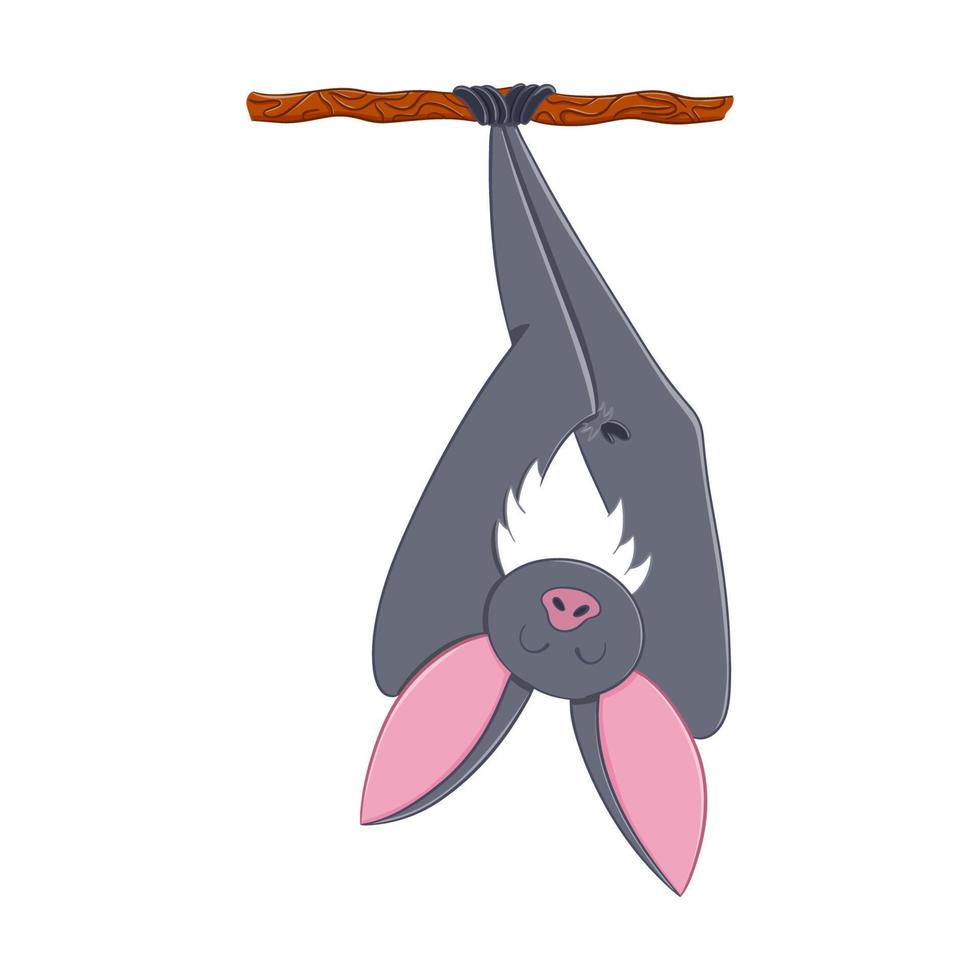 Cute cartoon hanging bat illustration. Isolated on white background. vector