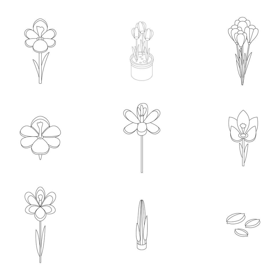 Crocus icons set vector outline